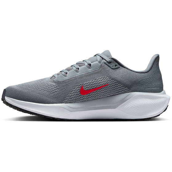 Nike Pegasus 41 Heren