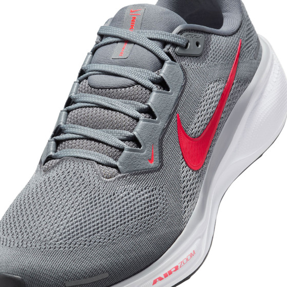 Nike Pegasus 41 Herren