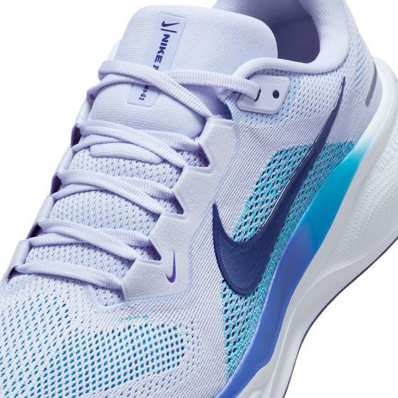 Nike Pegasus 41 Heren