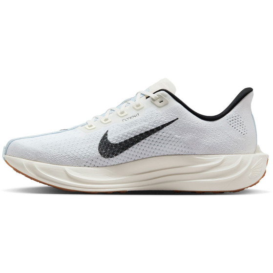 Nike Pegasus Plus Herren
