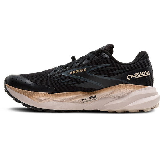 Brooks Cascadia 19 GTX Herren