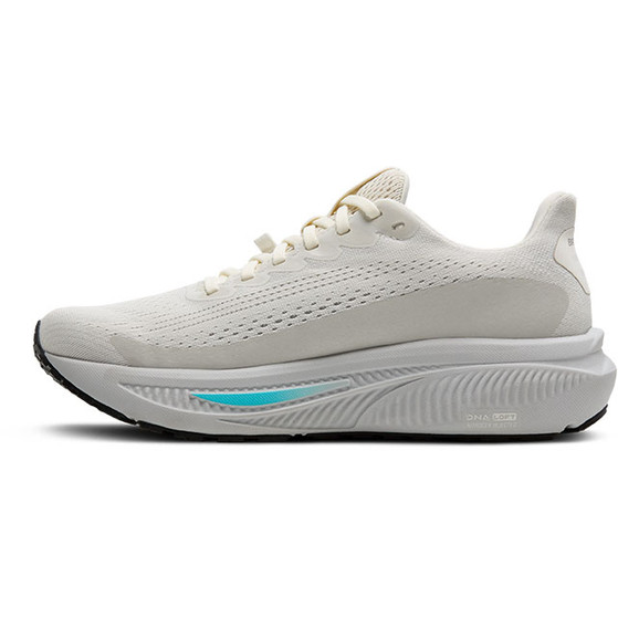 Brooks Ghost 17 GTX Damen