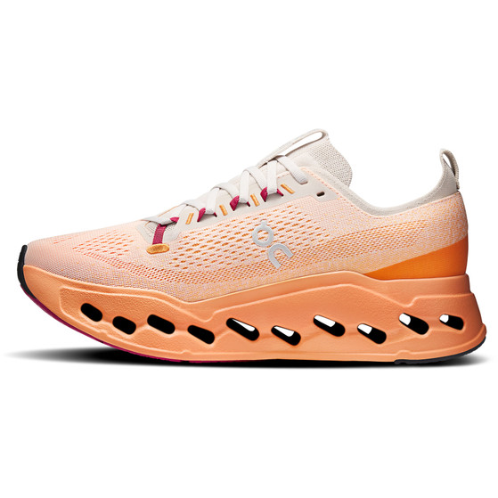 On Cloudsurfer Max Herr