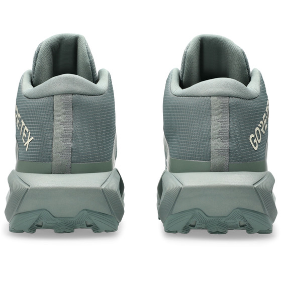 ASICS GEL-Trabuco MT GTX Heren