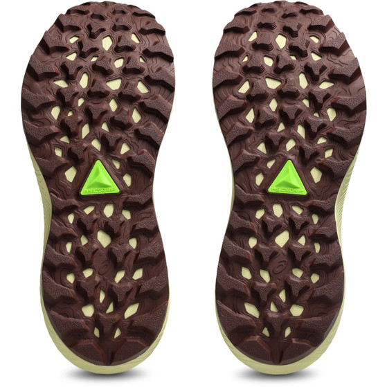 ASICS Trabuco Terra 3 Dames