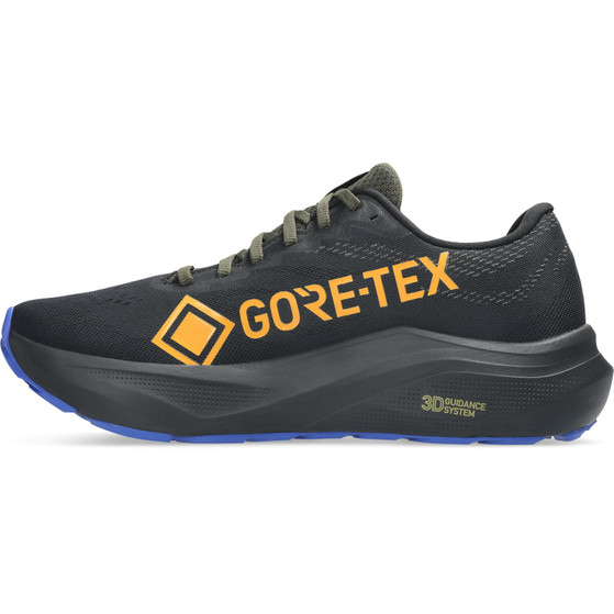 ASICS GT-2000 14 GTX Herren