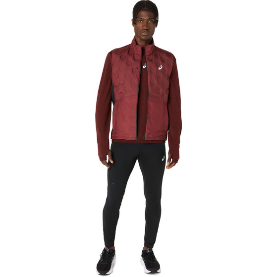 ASICS Road Winter Seamless Longsleeve Top Men