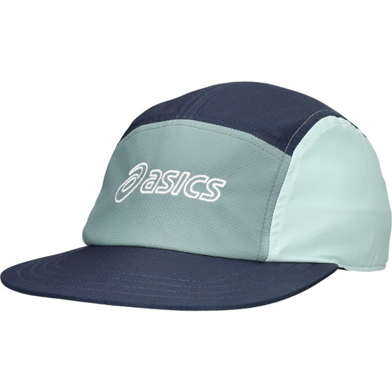 ASICS 5 Panel Pet