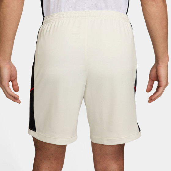 Nike Academy Shorts