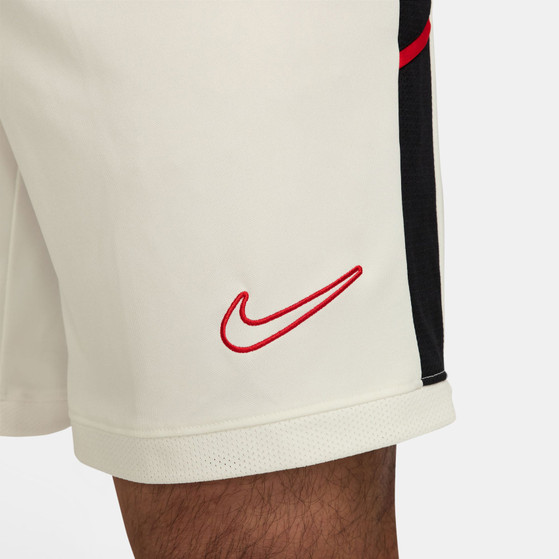 Nike Academy Shorts
