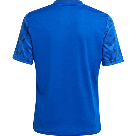 adidas Team Icon 25 Trainingsset Kids