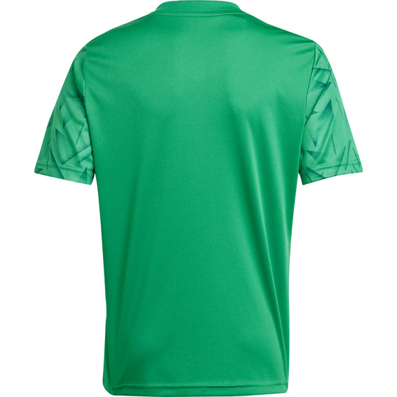 adidas Team Icon 25 Trainingsset Kids