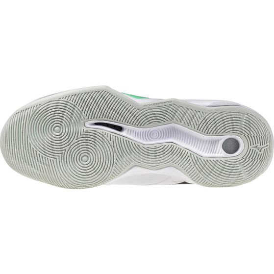 Mizuno Wave Momentum Pro