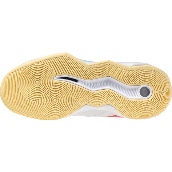 Mizuno Wave Momentum Pro Women