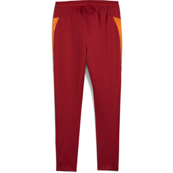 Puma Galatasaray Training Pant 2025/2026