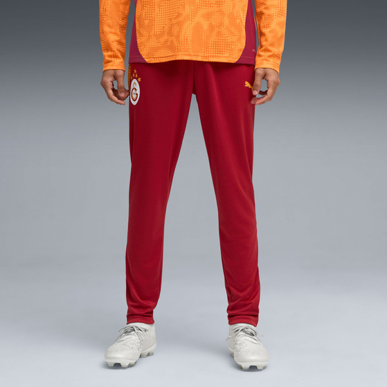 Puma Galatasaray Training Pant 2025/2026