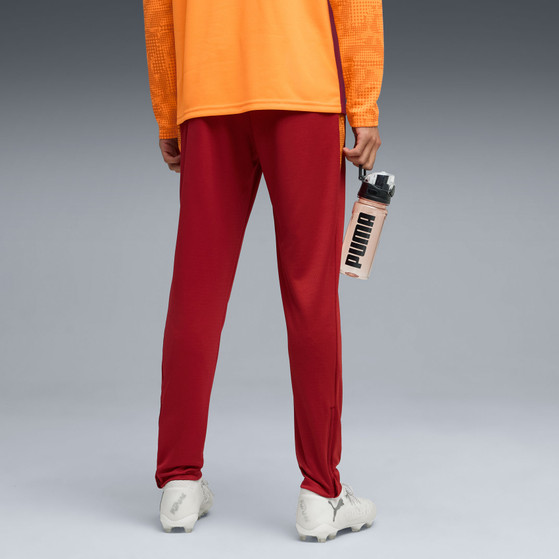 Puma Galatasaray Training Pant 2025/2026