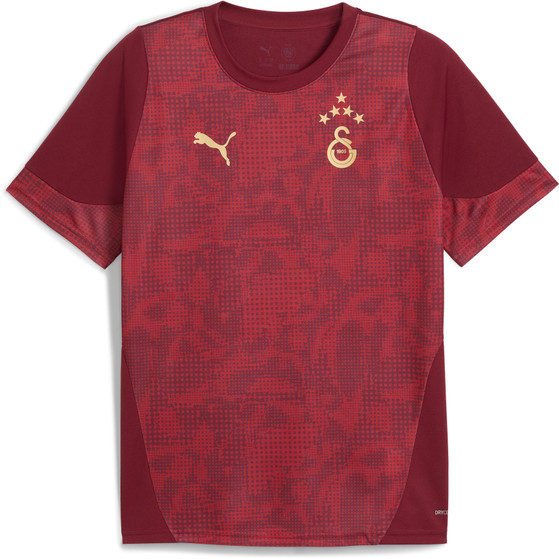 Puma Galatasaray Trainings-Shirt 2025/2026