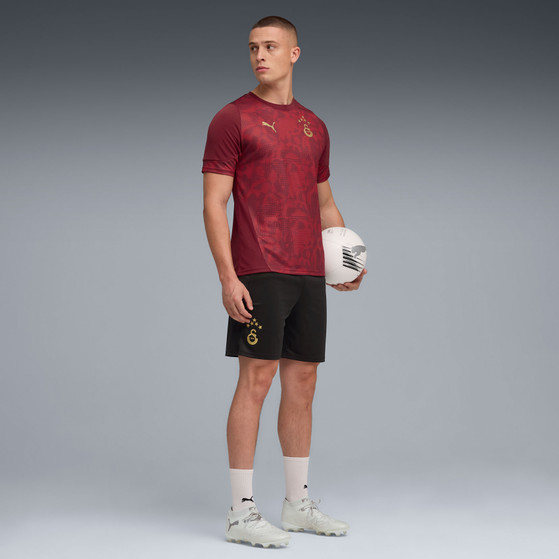 Puma Galatasaray Trainings-Shirt 2025/2026