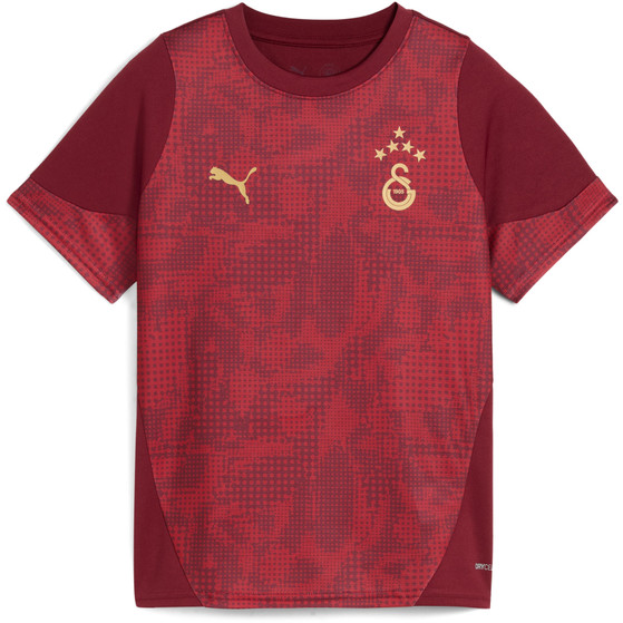 Puma Galatasaray Trainings-Shirt Kinder 2025/2026