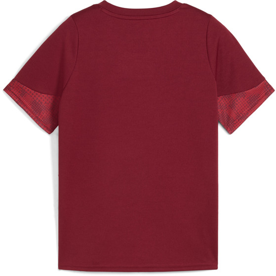 Puma Galatasaray Trainings-Shirt Kinder 2025/2026