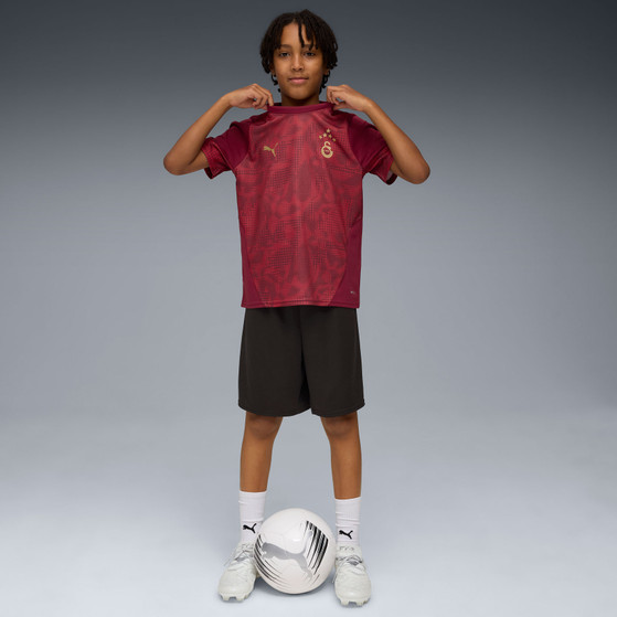 Puma Galatasaray Trainings-Shirt Kinder 2025/2026