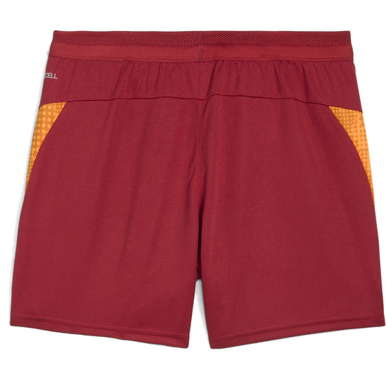 PUMA Galatasaray Träningsshorts Barn 2025/2026