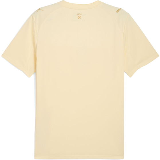 Puma FC Shakhtar Donetsk 3. Shirt 2025/2026