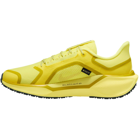 Nike Pegasus 41 GTX Herren