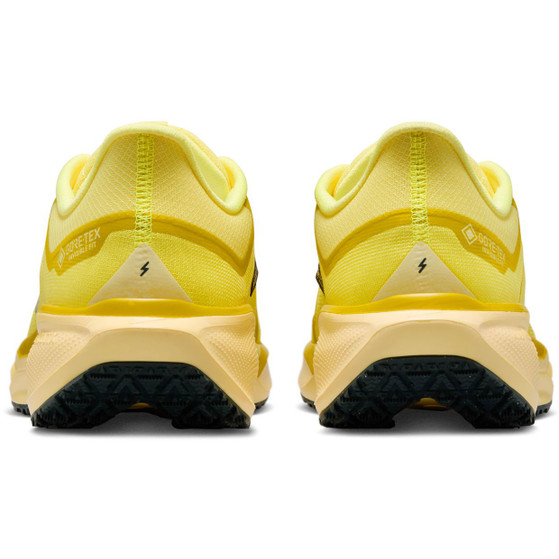 Nike Pegasus 41 GTX Herren