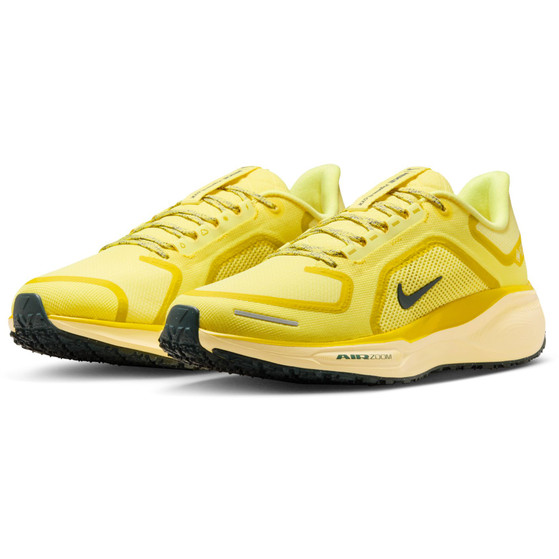 Nike Pegasus 41 GTX Herren