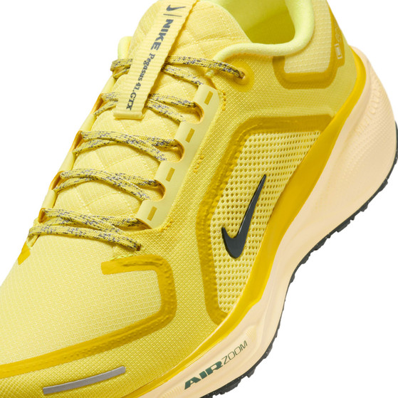 Nike Pegasus 41 GTX Herren