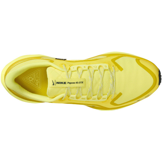 Nike Pegasus 41 GTX Herren