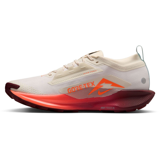 Nike Pegasus Trail 5 GTX Heren
