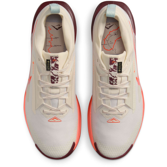 Nike Pegasus Trail 5 GTX Heren
