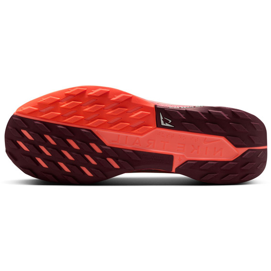 Nike Pegasus Trail 5 GTX Heren