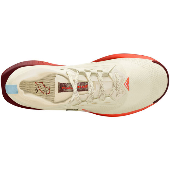 Nike Pegasus Trail 5 GTX Heren