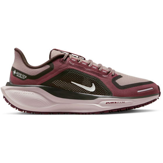 Nike Pegasus 41 GTX Dames