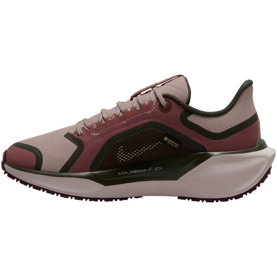 Nike Pegasus 41 GTX Dames