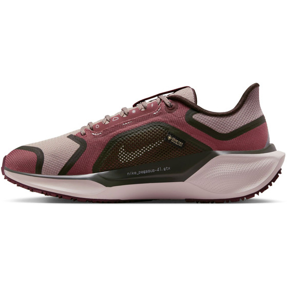 Nike Pegasus 41 GTX Dames
