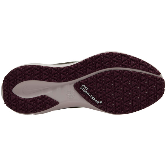 Nike Pegasus 41 GTX Dames