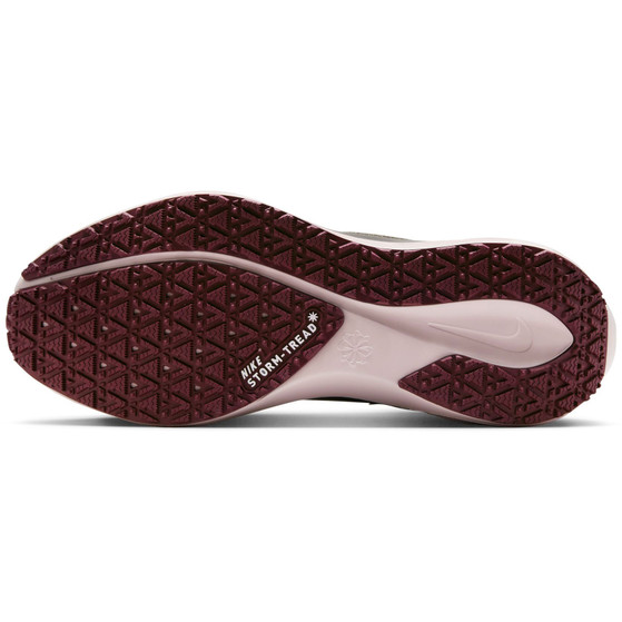 Nike Pegasus 41 GTX Dames