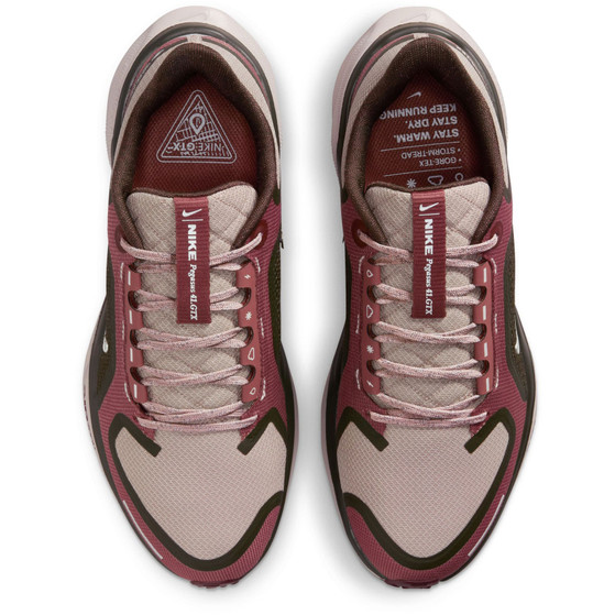 Nike Pegasus 41 GTX Dames