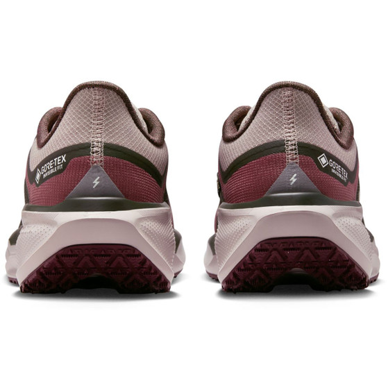 Nike Pegasus 41 GTX Dam
