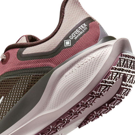 Nike Pegasus 41 GTX Dam