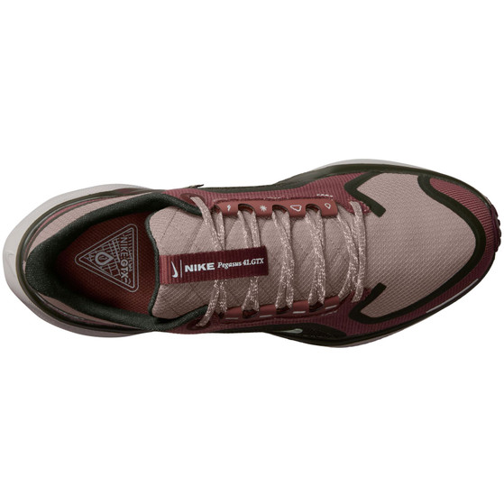 Nike Pegasus 41 GTX Dames