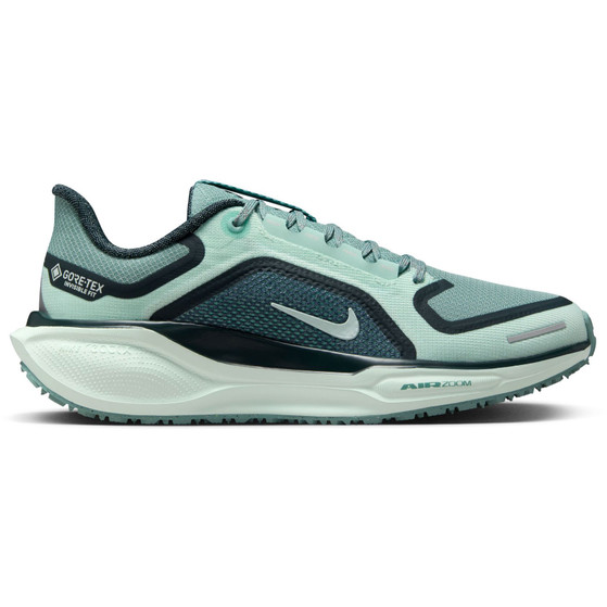 Nike Pegasus 41 GTX Dames
