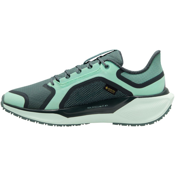 Nike Pegasus 41 GTX Dames