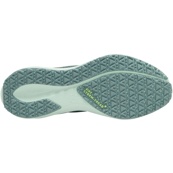 Nike Pegasus 41 GTX Dames