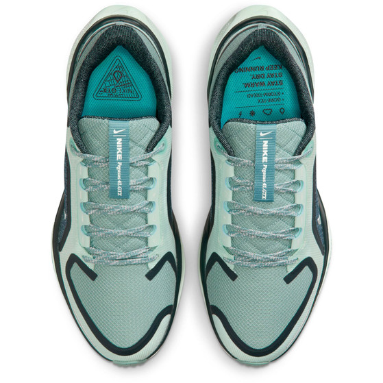 Nike Pegasus 41 GTX Dames